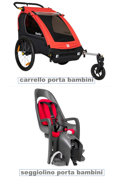 E-bike rental