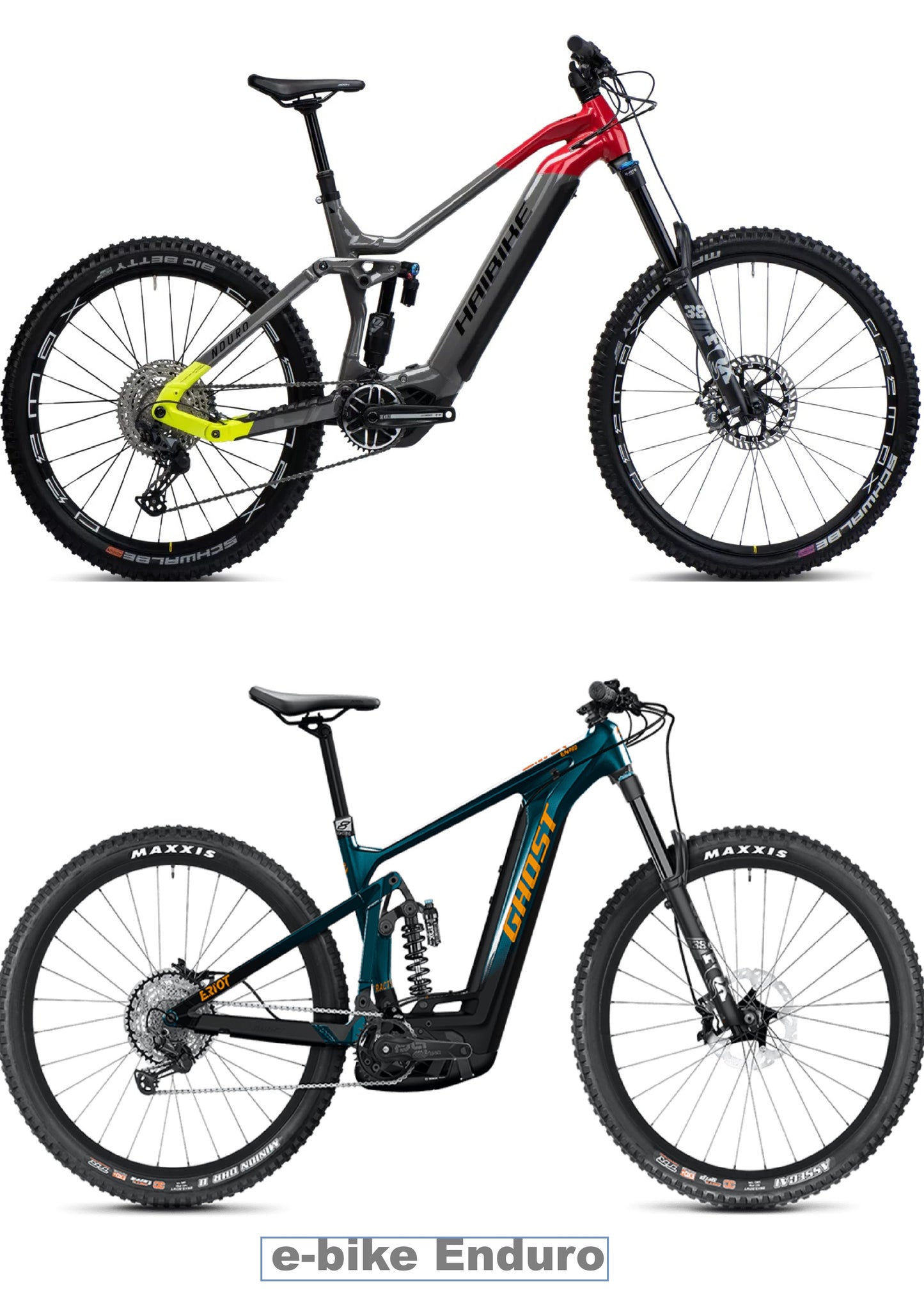 E-bike rental