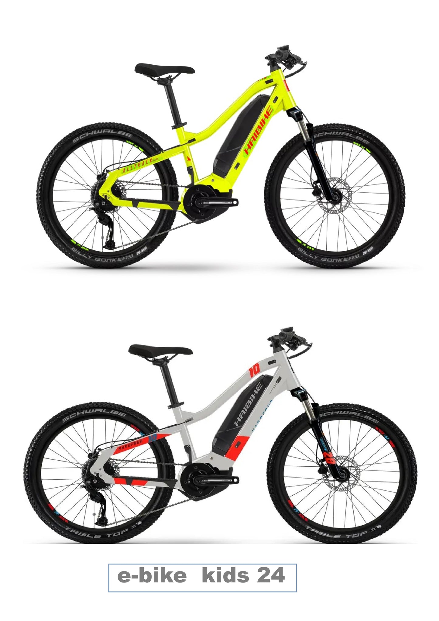 E-bike rental