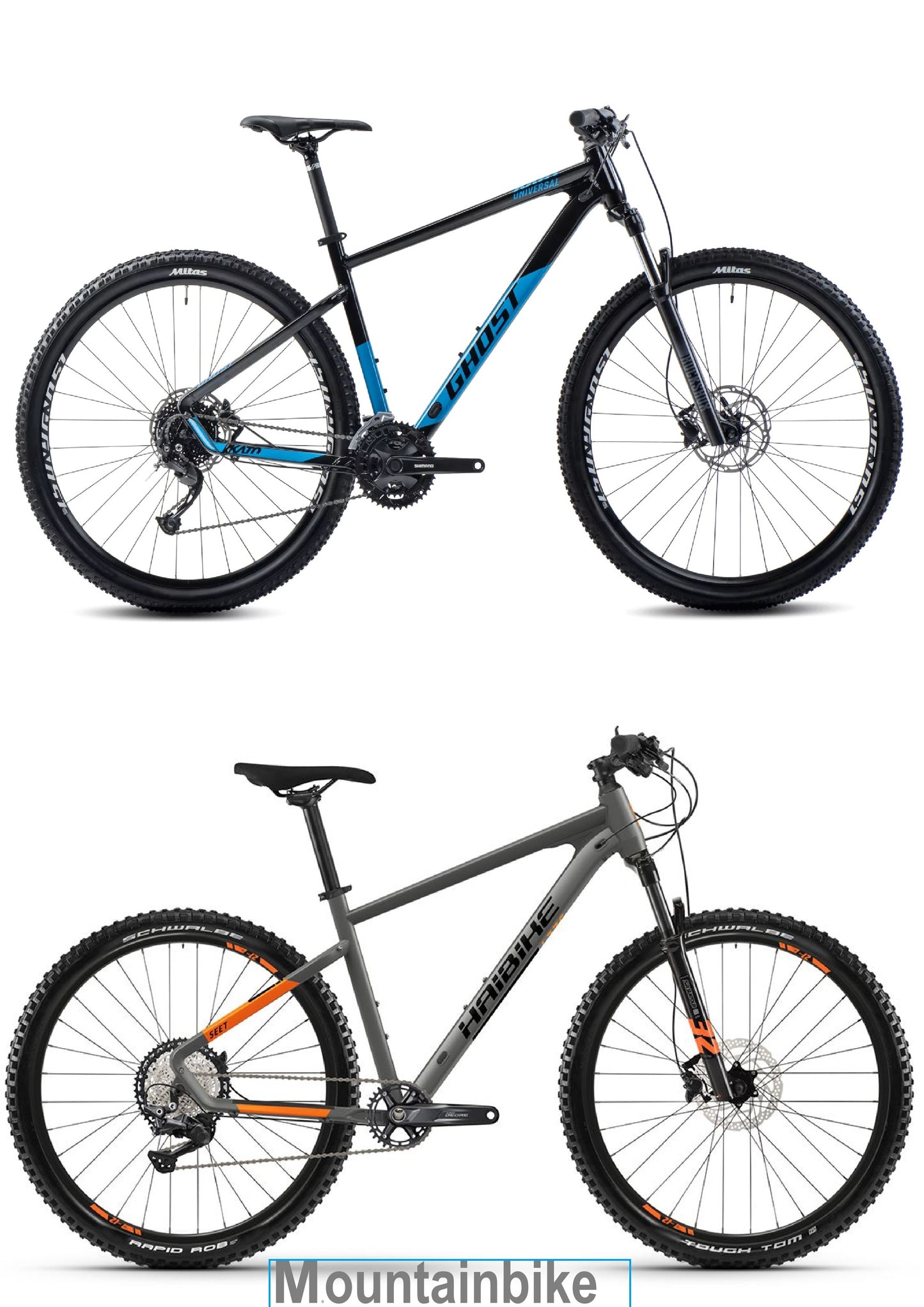 E-bike rental